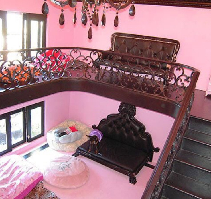 Thậm chí nội thất của ngôi nhà cũng đẹp không kém. Đặc biệt thú cưng còn được trang bị sẵn một tủ đầy ắp quần áo.