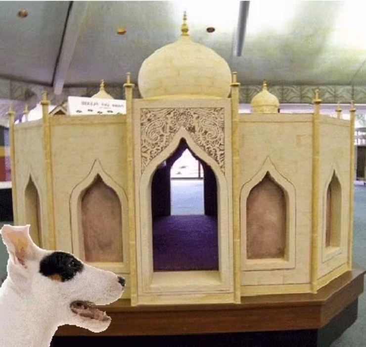 Biệt thự này sau đó đã được bán đấu giá làm từ thiện. Mức giá khởi điểm là 20.000USD (khoảng 460 triệu đồng).