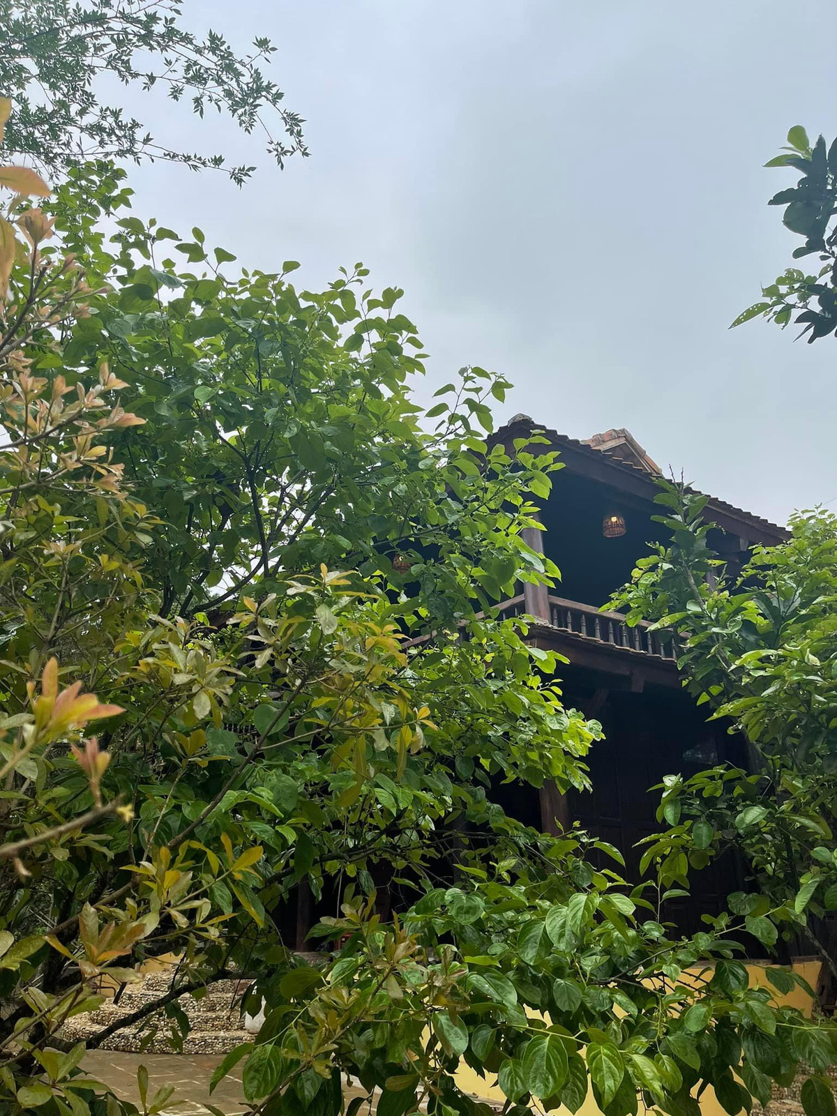 Nha san 150m2 o Hoa Binh, hien long gio, bon tam bang da nguyen khoi-Hinh-5