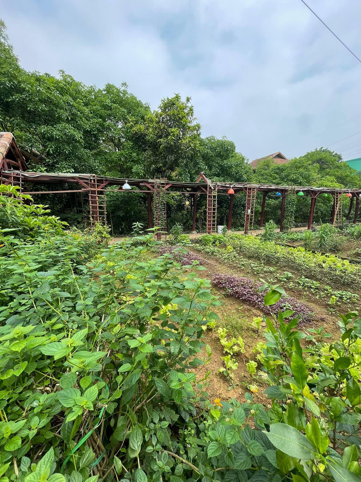 Nha san 150m2 o Hoa Binh, hien long gio, bon tam bang da nguyen khoi-Hinh-3