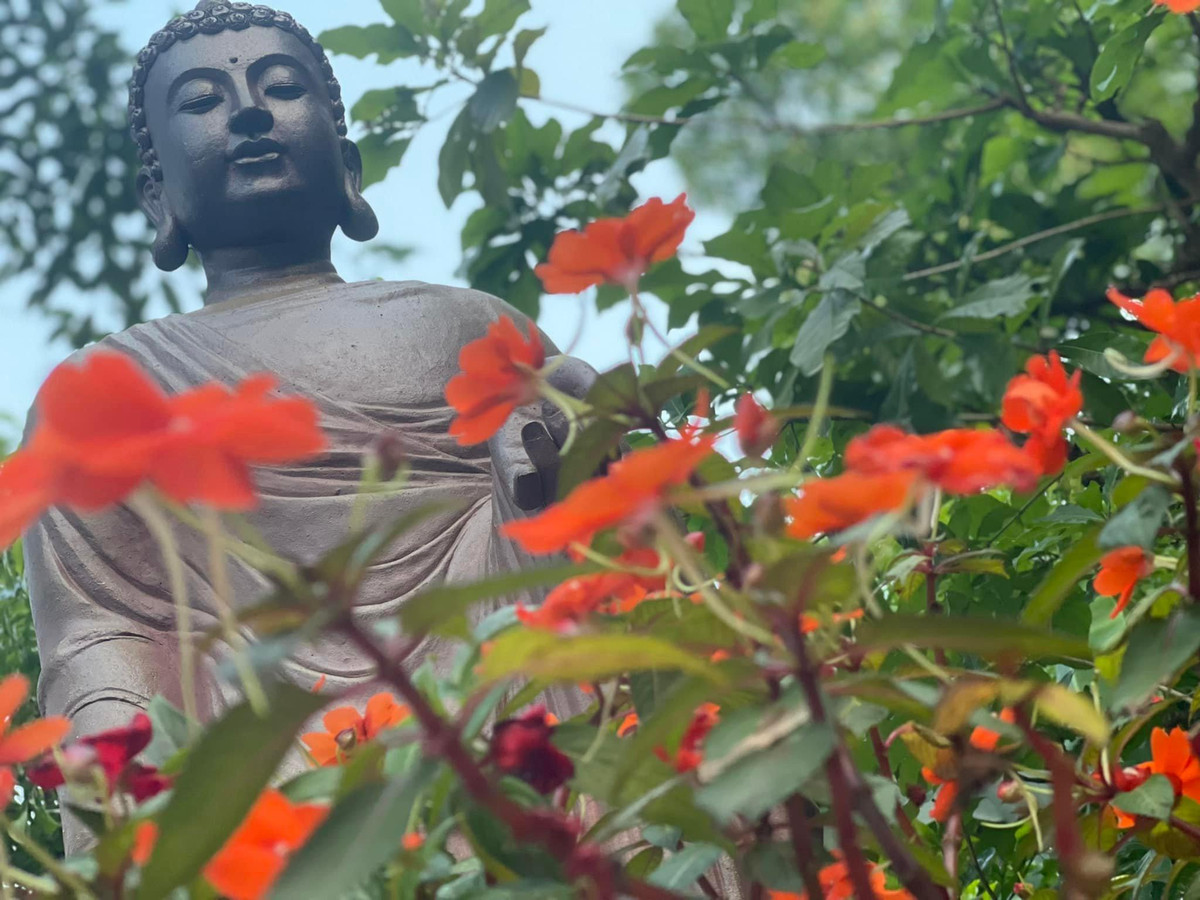 Nha san 150m2 o Hoa Binh, hien long gio, bon tam bang da nguyen khoi