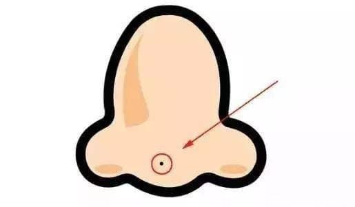 Loại người này nhìn chung có năng lực cá nhân rất mạnh, rất tự tin, có nhân cách tốt và có thể kiếm được nhiều tiền! 