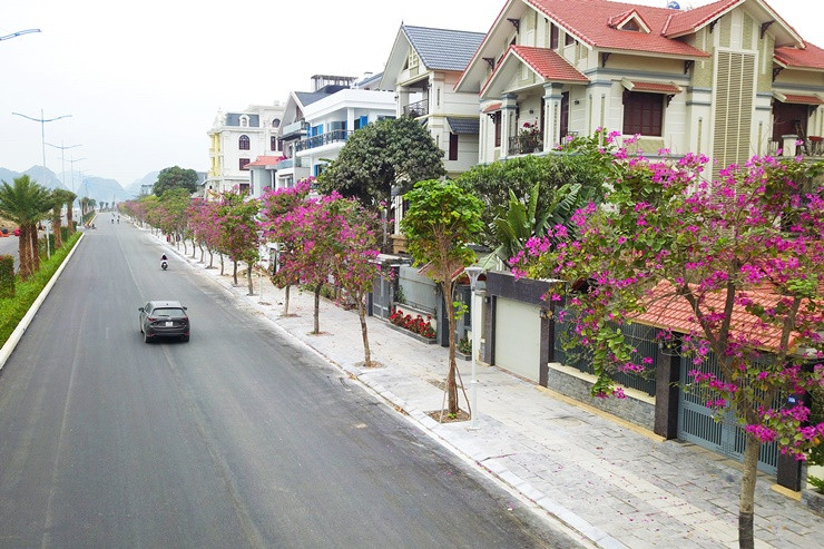 Hàng loạt dinh thự với sân vườn cây cảnh tọa lạc dọc đường Trần Quốc Nghiễn khiến con đường này trở nên đẹp và ấn tượng.