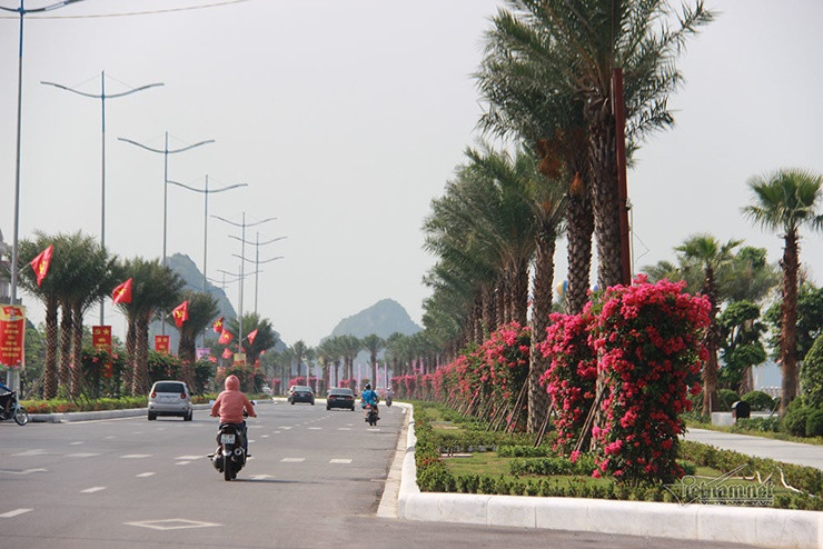 Từ núi Bài Thơ nhìn xuống, con đường như cầu vồng uốn lượn theo vịnh Hạ Long.