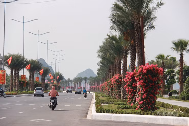 Từ núi Bài Thơ nhìn xuống, con đường như cầu vồng uốn lượn theo vịnh Hạ Long.