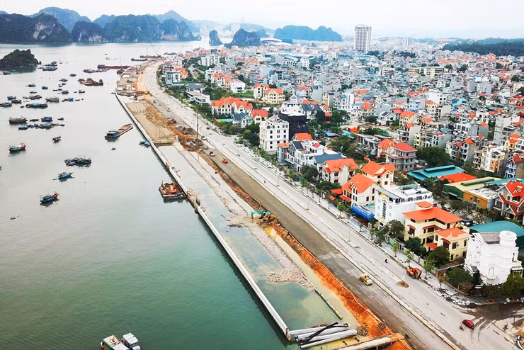 Trên một số website, giá biệt thự song lập nằm trên con đường này được rao với giá 60 triệu đồng/m2. Với một căn 3 tầng có thể có giá tới 9,6 tỷ đồng.