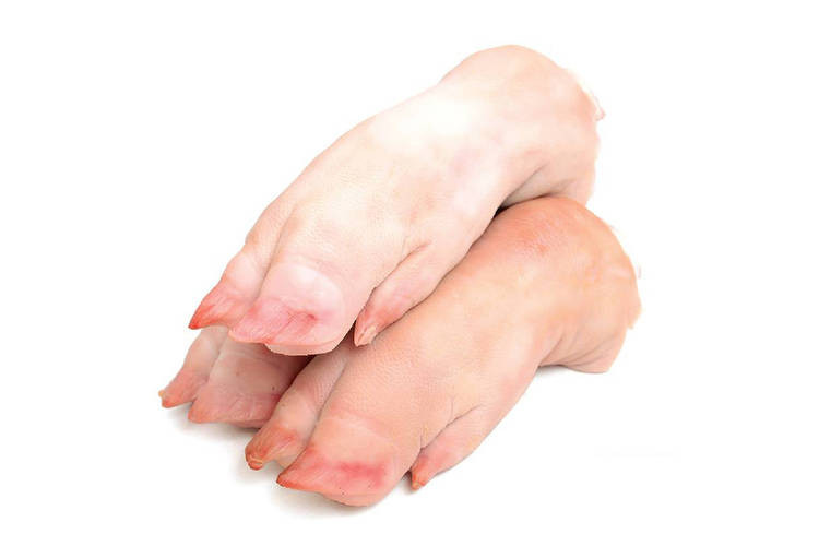 Những lời đồn sai lầm về món móng giò, nhiều người vẫn tin sái cổ ảnh 2