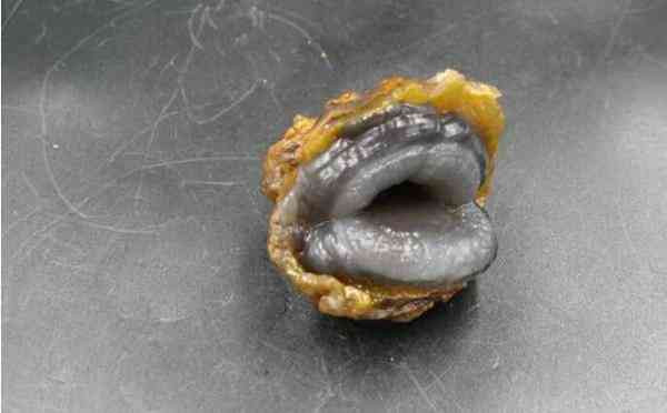 Nhat duoc hon da hinh vo so, co gai choang vang biet la bau vat