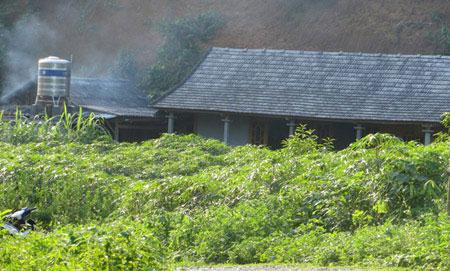 2. Bị cấm yêu, nữ sinh lớp 8 vác dao chém chết mẹ đẻ. 15h ngày 23/7/2014, hai mẹ con chị Hà Thị Luyến (31 tuổi, trú tại làng Trung, xã Trì Quang, huyện Bảo Thắng, tỉnh Lào Cai) có to tiếng với nhau, chị Luyến đã túm tóc con gái tên là Ngô Thị Ngọc (15 tuổi) vừa học xong lớp 8 đang nghỉ hè tại gia đình.