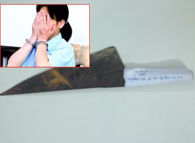 Sẵn có dao phát cỏ trong tay, Ngọc đã bất ngờ chém vào người mẹ đẻ. Khi chị Luyến bỏ chạy, Ngọc đã lao theo đâm liên tiếp vào người chị. Sau khi gây án, Ngọc đã bỏ trốn khỏi địa phương và ẩn nấp tại một nhà nghỉ ở xã Xuân Quang cùng huyện, còn chị Luyến được gia đình đưa đi cấp cứu nhưng vì vết thương quá nặng nên đã tử vong sau đó.