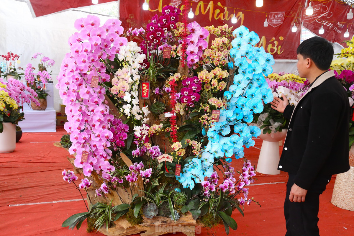 Anh Trần Sơn, chủ một cửa hàng bán hoa lan trên đường Trường Thi, TP. Vinh) cho hay, mỗi chậu lan được chế tác cầu kỳ, mất từ 3 - 4 giờ để hoàn thiện, từ việc chọn gỗ lũa đến sắp đặt thêm các chi tiết như rêu xanh, cây nhỏ hoặc tiểu cảnh bonsai. Với giá trị nghệ thuật cao, lan hồ điệp trên gỗ lũa có giá đắt đỏ.