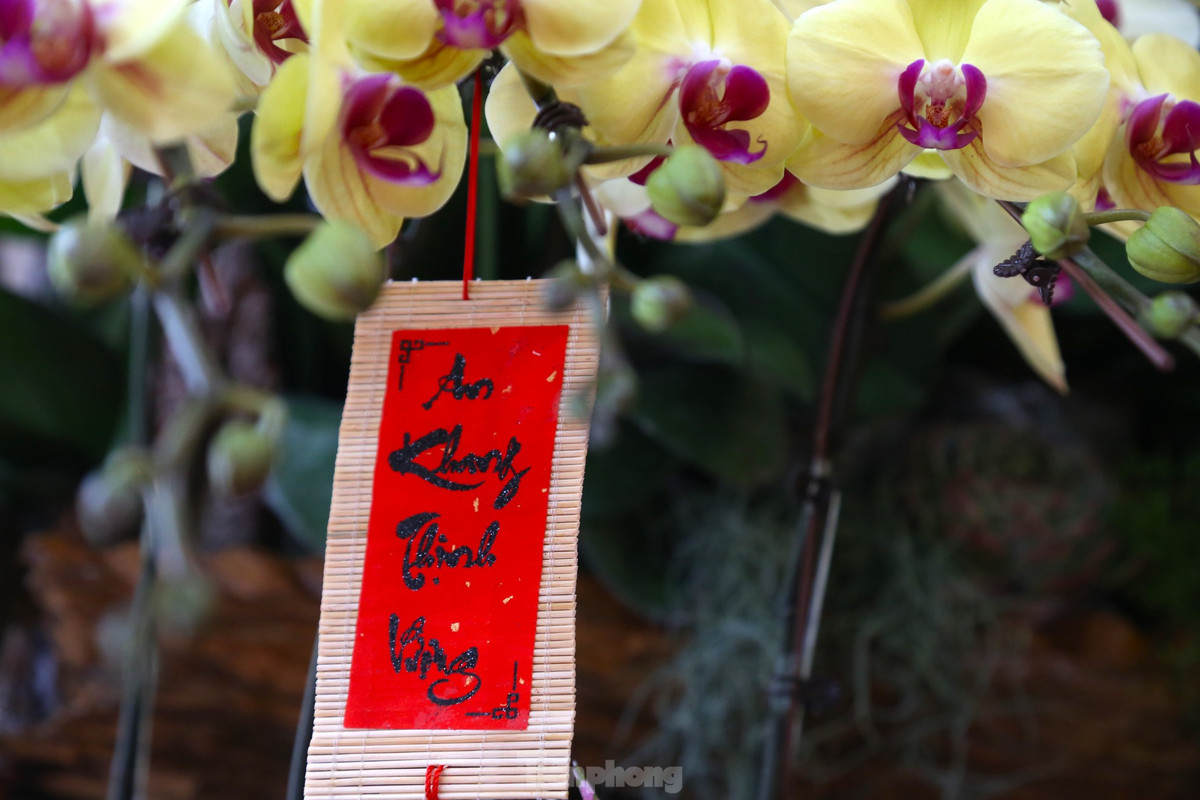 Tác phẩm được trang trí nhiều tiểu cảnh để tạo điểm nhấn.