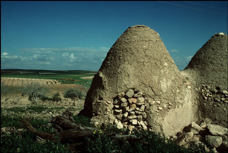 Những ngôi nhà kiểu tổ ong truyền thống ở ngoại vi Aleppo. Ảnh: Magnum Photos.