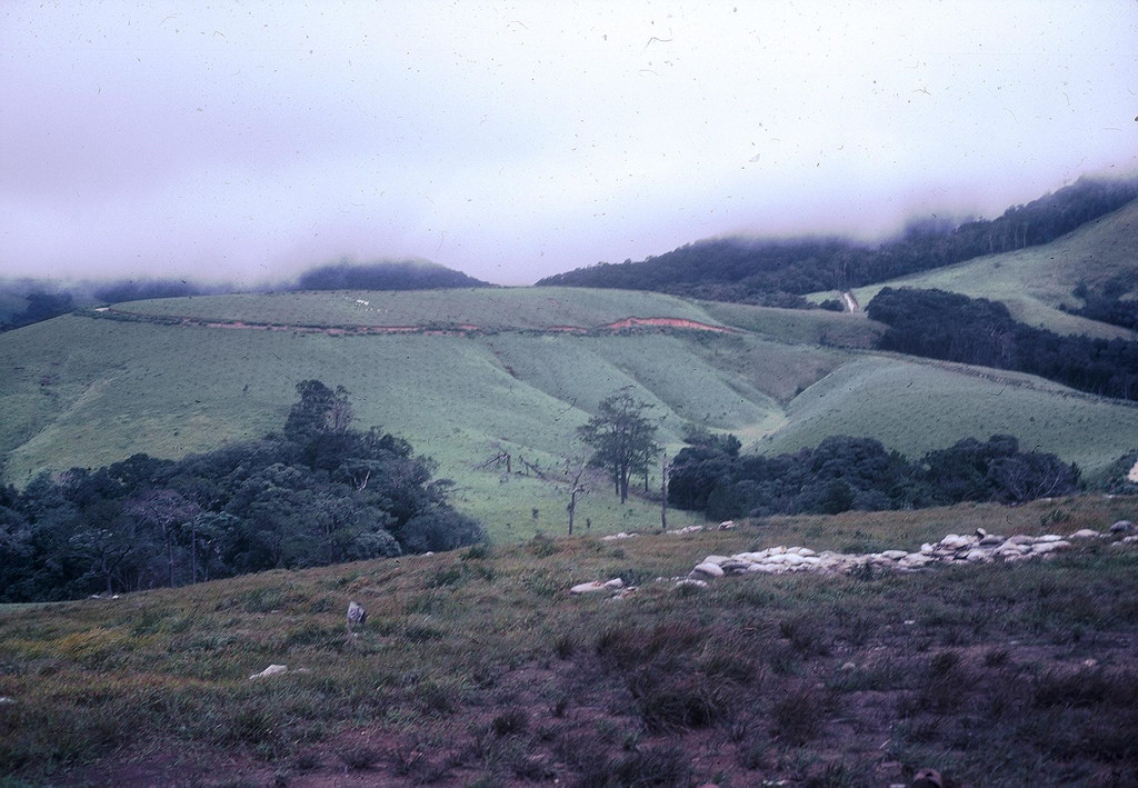 Một góc nhìn khác về khu nghĩa địa Pháp. Ảnh: A70thvets.com.