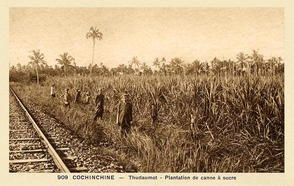 Đồn điền mía và đường sắt ở tỉnh Thủ Dầu Một năm 1946. Ảnh tư liệu.