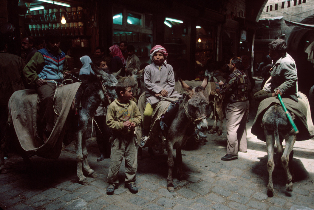 Những chú lừa tại khu chợ thành phố Aleppo, nơi đã bị quân nổi dậy chiếm đóng nhiều năm trong cuộc chiến Syria. Ảnh: Magnum Photos.