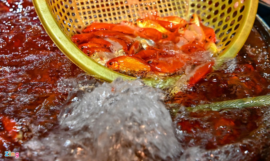 Theo quan niệm dân gian, cá chép là phương tiện để giúp các Táo Quân chầu trời. Vì vậy, đồ cúng ông Táo không thể thiếu cá chép. Bạn có thể dùng cá chép sống hoặc cá chép giấy để cúng ông Công ông Táo. Ở miền Bắc, các gia đình thường cúng ông Táo bằng cá chép sống, thả trong chậu nước với ngụ ý “cá chép hóa rồng”. Còn ở Nam bộ, người dân thường dùng cá chép giấy nhiều hơn. Ảnh: Việt Linh.