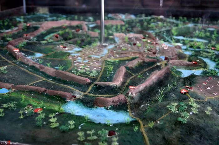 Cổ Loa là một trong 21 khu di tích quốc gia của Việt Nam. Ngày 27/9/2012, di tích lịch sử kiến trúc nghệ thuật và khảo cổ Cổ Loa được Thủ tướng quyết định xếp hạng di tích quốc gia đặc biệt .