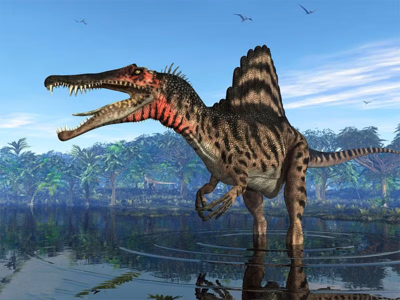 Khủng long bạo chúa (T-rex) được xem là "vua của các loài khủng long", hung hãn bậc nhất, từng tồn tại trong lịch sử. Theo nhà cổ sinh vật David Burnham tại Đại học Kansas, Mỹ, thức ăn của khủng long bạo chúa là thịt sống. Nó thường ăn thịt cả những loài khủng long ăn cỏ khác.