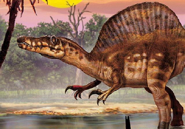 Các nhà khoa học nhận định thực tế khủng long không hoàn toàn tuyệt chủng, nó vẫn còn hậu duệ đến hôm nay. Đó chính là các loài chim, được tiến hóa từ một nhánh khủng long biết bay, có kích thước nhỏ ngày xưa.