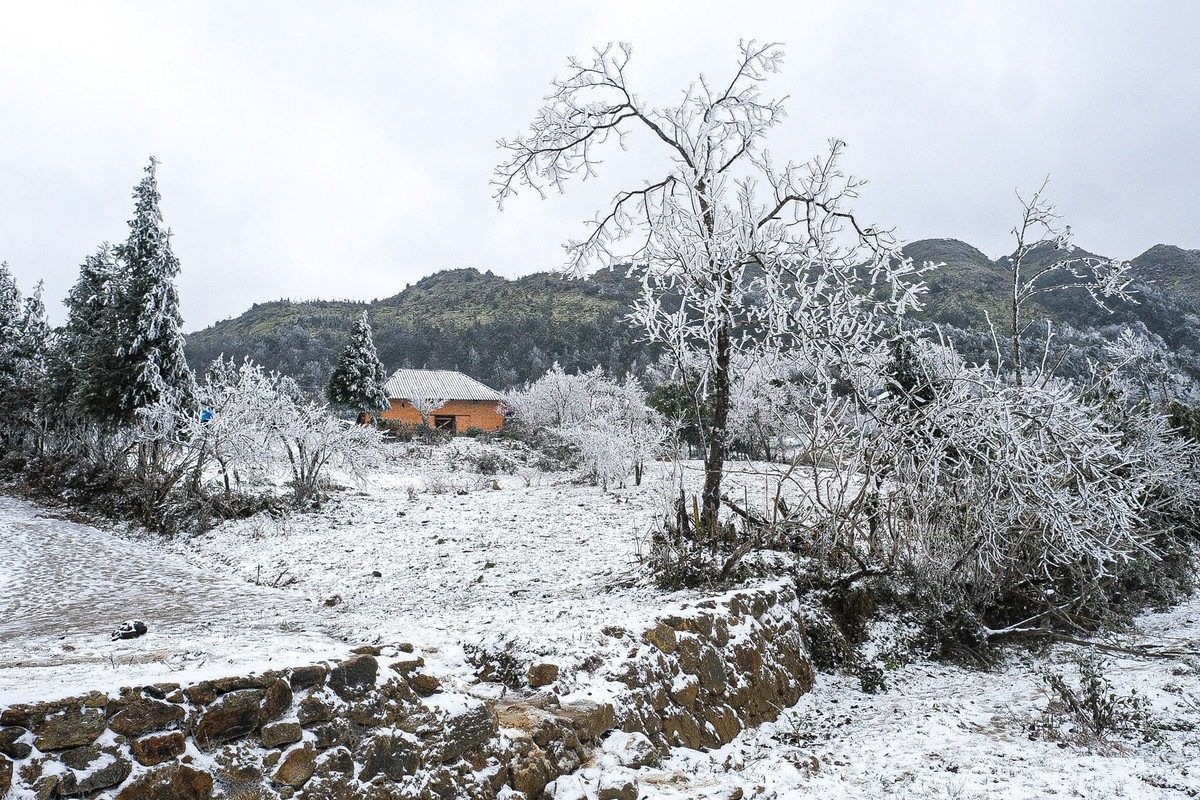 Đến Bát Xát, du khách dễ dàng bắt gặp những ngôi nhà trình tường đặc trưng của người Hà Nhì ở đây. Vùng đất này có đông đồng bào dân tộc Hà Nhì sinh sống, còn lưu giữ những nét văn hóa đặc trưng. Ảnh: Phạm Thắng.