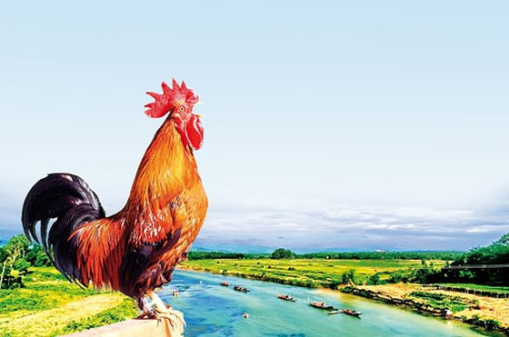  A Pa Chải là ngã ba biên giới Việt Nam, Lào và Trung Quốc, thuộc xã Sín Thầu, huyện Mường Nhé, tỉnh Điện Biên. Đây là nơi "một con gà gáy, cả ba nước đều nghe", nằm trên đỉnh Khoang La San, cách Hà Nội hơn 750 km. 