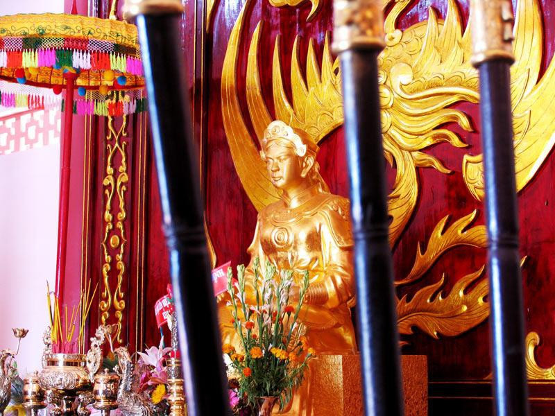 Nữ tướng Bùi Thị Xuân là người nổi tiếng với biệt tài thuần dưỡng voi. Bà từng xây dựng được đội quân voi chiến lên tới hàng trăm con. Trong thời đi theo nhà Tây Sơn, binh đoàn voi của bà lập được rất nhiều chiến công trên chiến trường, khiến quân Xiêm, Thanh bao phen kinh hồn bạt vía.