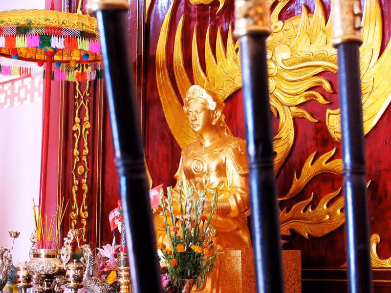 Nữ tướng Bùi Thị Xuân là người nổi tiếng với biệt tài thuần dưỡng voi. Bà từng xây dựng được đội quân voi chiến lên tới hàng trăm con. Trong thời đi theo nhà Tây Sơn, binh đoàn voi của bà lập được rất nhiều chiến công trên chiến trường, khiến quân Xiêm, Thanh bao phen kinh hồn bạt vía.