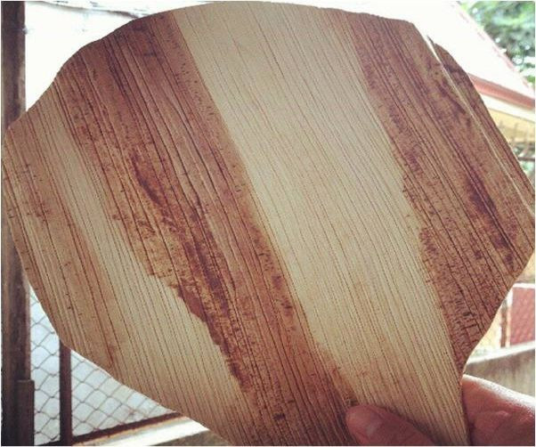 Với người Việt, cau mang lại những giá trị to lớn. Quả cau dùng để ăn, thân cây để dựng nhà cửa, mo dùng làm quạt. Nổi tiếng nhất là nhân vật Thằng Bờm với chiếc quạt mo đã trở thành hình tượng của văn học Việt Nam.