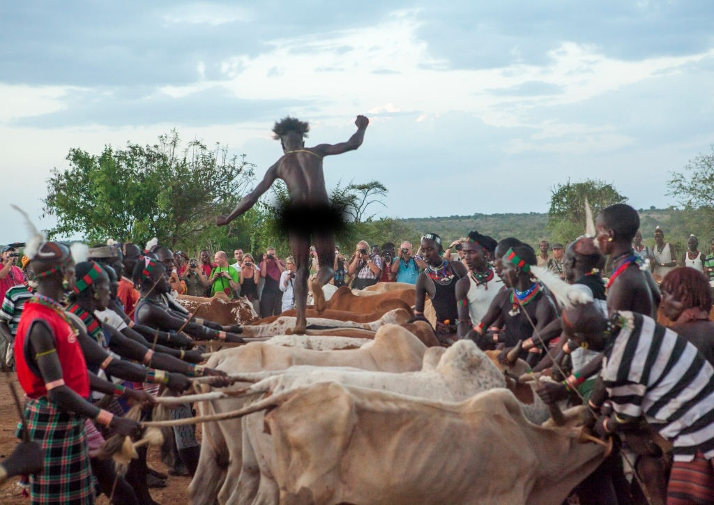 Nếu thành công, anh ta được phép kết hôn và mang danh "Maza" - một người đàn ông trưởng thành. Ngược lại, người thất bại sẽ không thể kết hôn và còn bị đánh bởi những người phụ nữ chứng kiến.