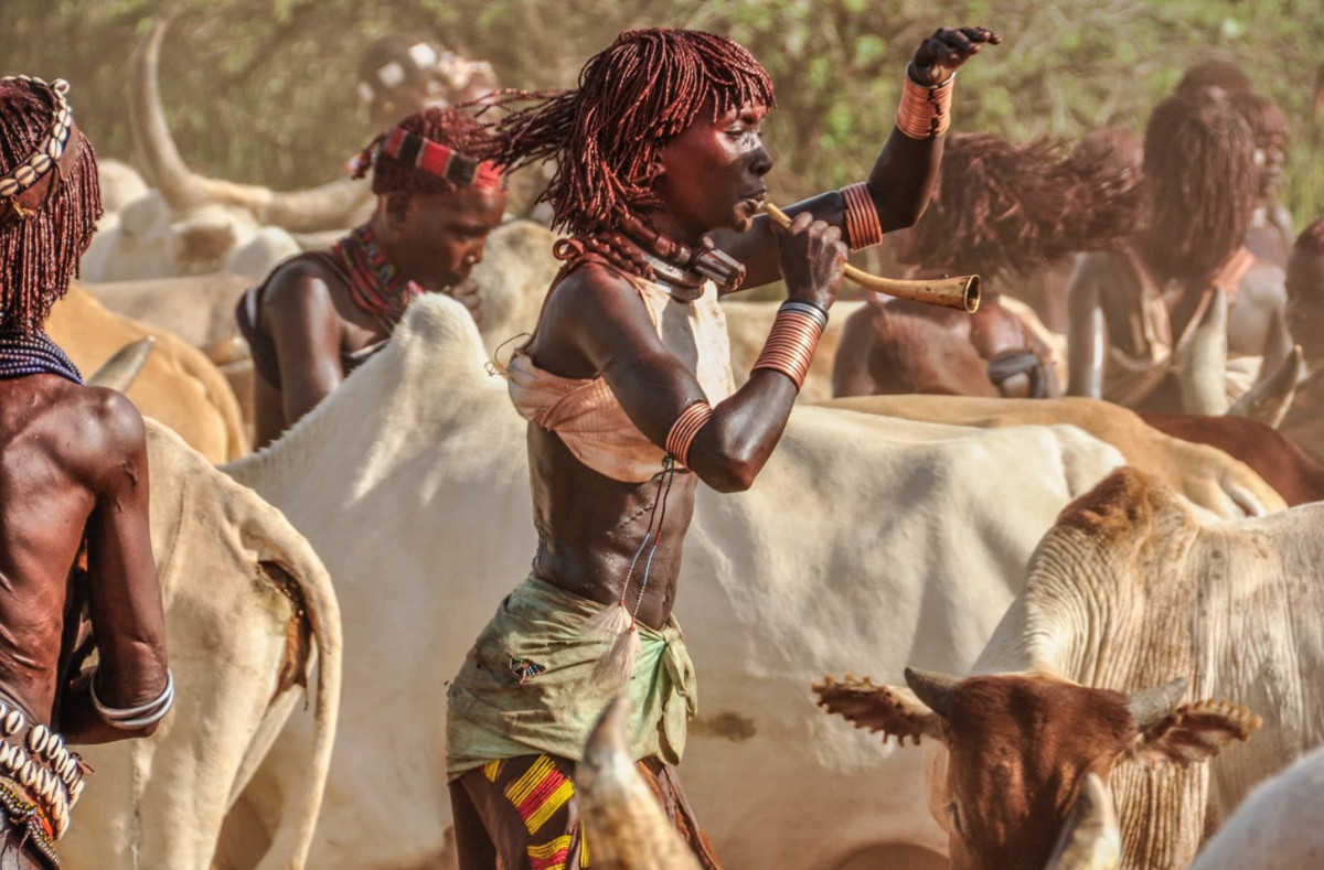 Nếu vượt qua lễ trưởng thành, đàn ông Hamar có thể lấy bao vợ tùy ý. Tuy nhiên, phụ nữ chỉ có một chồng. Lễ vật thách cưới của người Hamar thường là 30 con dê, 20 con bò. Ảnh: Lynn Doran.