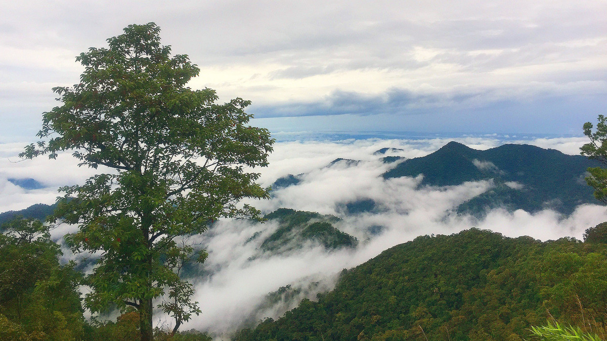 Theo Atlas Địa lý Việt Nam, với chiều dài lên tới hơn 1.100 km, Trường Sơn là dãy núi dài nhất Việt Nam. Đây cũng là một trong những dãy núi lớn trên thế giới.