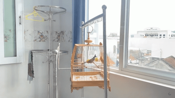 Hot girl Ngan 98 khoe co ngoi do so 8 tang, giau nhat thi xa-Hinh-7