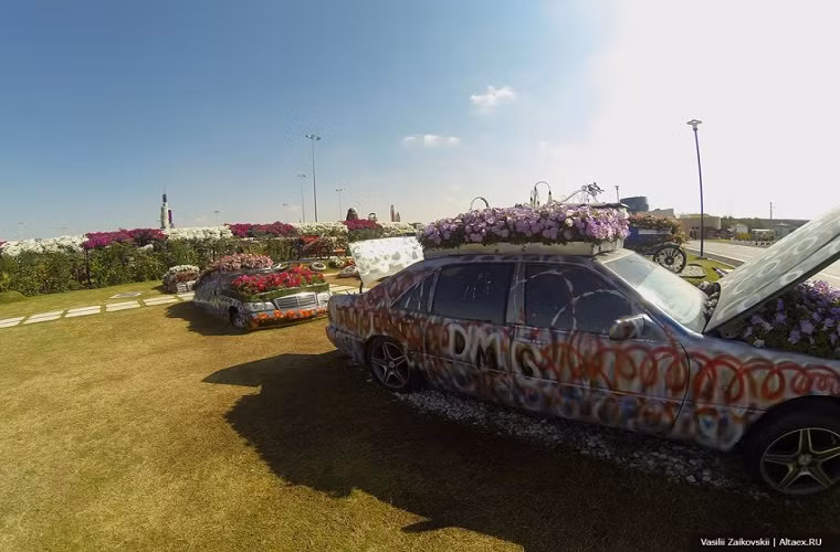 Thành phố Dubai mỗi năm bỏ đi hàng nghìn chiếc ô tô cũ không còn sử dụng khiến các bãi rác ô tô phế thải luôn quá tải. Các nhà chức trách thành phố đã đưa ra ý tưởng độc đáo biến những chiếc ô tô bỏ đi thành vườn hoa lộng lẫy.