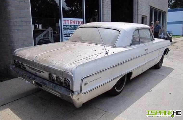 Có khoảng 50 chiếc xe được tìm thấy hầu hết đều trong tình trạng cũ rỉ, nhưng một số vẫn còn hoạt động và không cần sửa chữa nhiều.