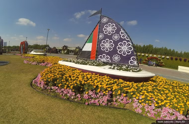 Du thuyền lướt trên biển hoa.