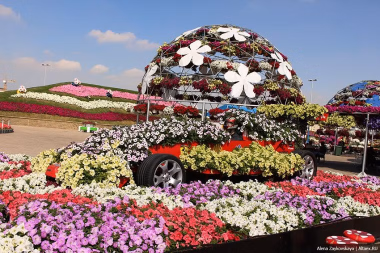 Trung tâm vườn hoa là siêu xe Ferrari FF nước sơn và bánh xe còn khá mới nhưng giờ phủ đầy các loài hoa đủ màu sắc.