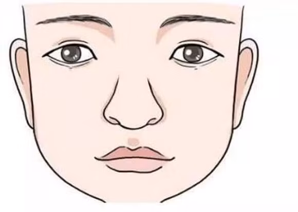 2. Lông mày và tai ngang bằng nhau: Tức là lông mày và tai có độ cao tương đương. Khi nhìn từ bên ngoài, hai lông mày và hai tai nằm trên cùng một đường thẳng. 