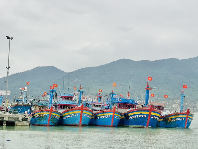 Ngư dân “hốt bạc” nhờ lộc biển ngày cuối năm Ngu dan “hot bac” nho loc bien ngay cuoi nam