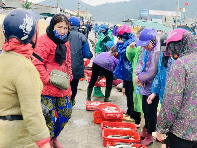 ##s###Sau khi cập cảng, cá được tiểu thương mua lại và bày bán ngay tại cảng.