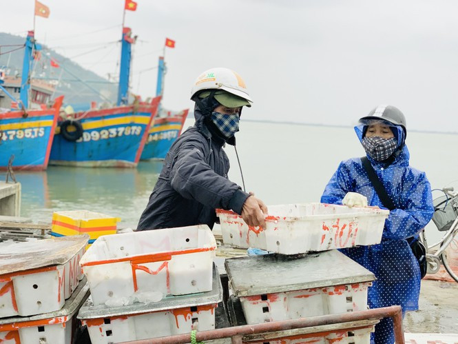 ##s###Từ chiều ngày 30/12, các tàu thuyền đã cập cảng Cửa Sót với cá tôm đầy khoang.