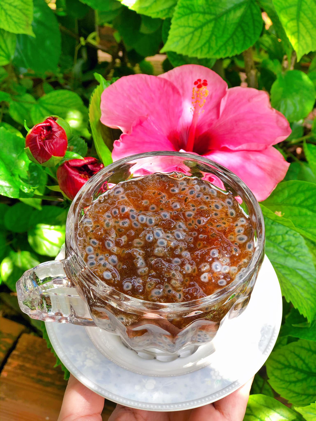 Loại hạt nghe quen, nhìn lạ, ví như “yến của núi rừng” - Hình 12 Loai hat nghe quen, nhin la, vi nhu “yen cua nui rung”-Hinh-12