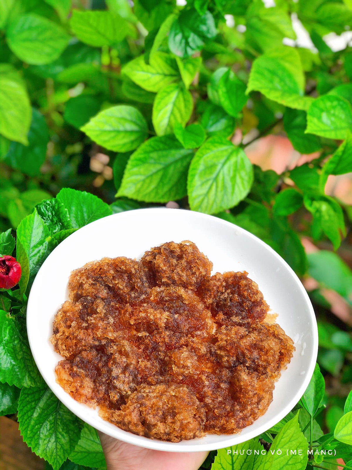 Loại hạt nghe quen, nhìn lạ, ví như “yến của núi rừng” - Hình 4 Loai hat nghe quen, nhin la, vi nhu “yen cua nui rung”-Hinh-4