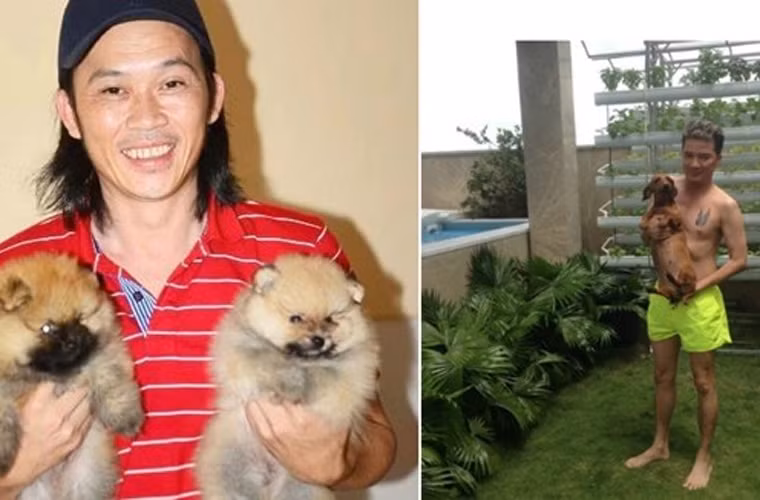 Sau ánh hào quang trên sân khấu, Hoài Linh trở về cuộc sống thường nhật. Anh nuôi thêm nhiều thú cưng để đỡ hiu quạnh. Mr Đàm không cô đơn, cuộc sống anh luôn ồn ào như chính âm nhạc và con người của mình.