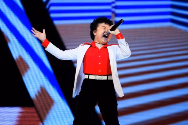 Trong buổi giao lưu với độc giả gần đây, Hoàng Anh đã chia sẻ về việc cậu thường xuyên hát đám cưới để phụ giúp tài chính cho gia đình. Hoàng Anh kể: "Năm con 6 tuổi, con đã đi hát cho trường và các hội nghị. Cát-sê đầu tiên con nhận được là 200.000 đồng. Số tiền này con đưa trọn cho mẹ để đóng tiền học".