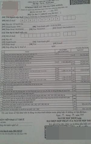 Tờ khai tự quyết toán thu nhập của Tập đoàn do Lý Nhã Kỳ sáng lập nói lên nhiều về con số lỗ, lời.