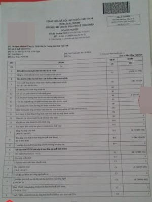Tờ khai thuế GTGT của tập đoàn do Lý Nhã Kỳ sáng lập và quản lý.