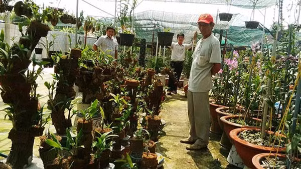 Ông Hai Phụng bên vườn lan hiếm của mình.