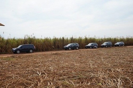 Với chiếc mũ tai bèo, tự lái xe đi vào những nơi khắc nghiệt nhất của nông trường, tìm hiểu từng khóm mía, kiểm tra công nghệ tưới, bầu Đức đã thực sự từ bỏ bất động sản để trở thành một "đại gia nông dân". Lý giải cho việc năng suất mía đường cao, bầu Đức cho hay: Rất đơn giản, do áp dụng công nghệ tưới nước nhỏ giọt, nước được hòa tan phân bón được bơm đến từng khóm mía, tạo điều kiện sinh trưởng tốt nhất cho cây mía. Ảnh: VTC News.