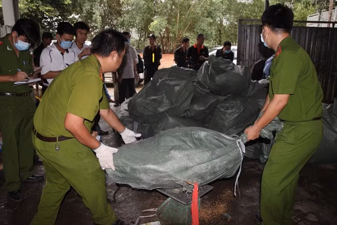 Cơ quan chức năng đang tiến hành cân số rùa biển ở xưởng số 1.